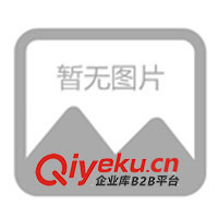 供應活力板、游龍板、沖浪板、滑板車/麥克街板